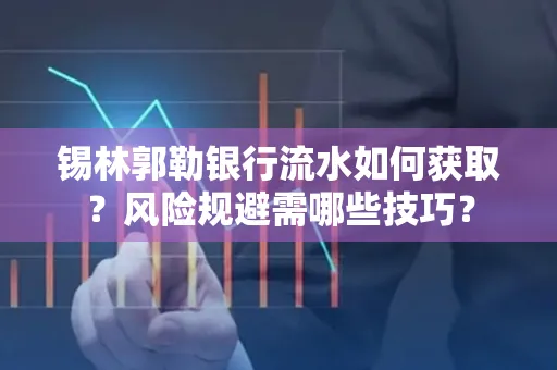 锡林郭勒银行流水如何获取?风险规避需哪些技巧?