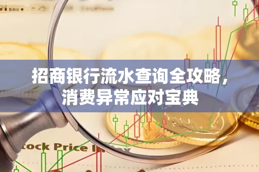 招商银行流水查询全攻略,消费异常应对宝典