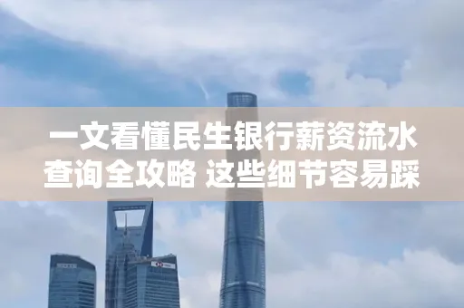一文看懂民生银行薪资流水查询全攻略 这些细节容易踩雷
