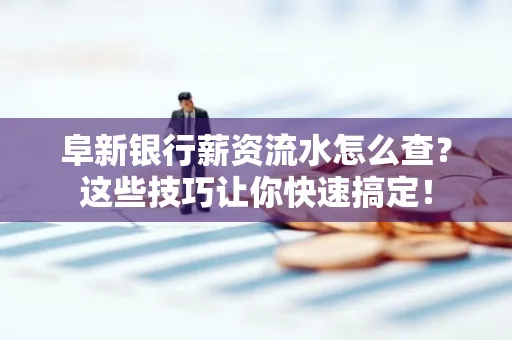 阜新银行薪资流水怎么查?这些技巧让你快速搞定!