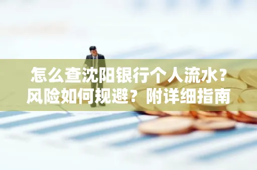 怎么查沈阳银行个人流水?风险如何规避?附详细指南