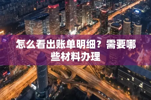 怎么看出账单明细?需要哪些材料办理