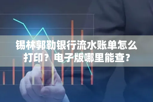 锡林郭勒银行流水账单怎么打印?电子版哪里能查?