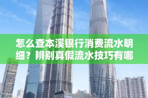 怎么查本溪银行消费流水明细?辨别真假流水技巧有哪些?