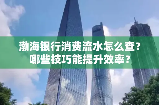 渤海银行消费流水怎么查?哪些技巧能提升效率?