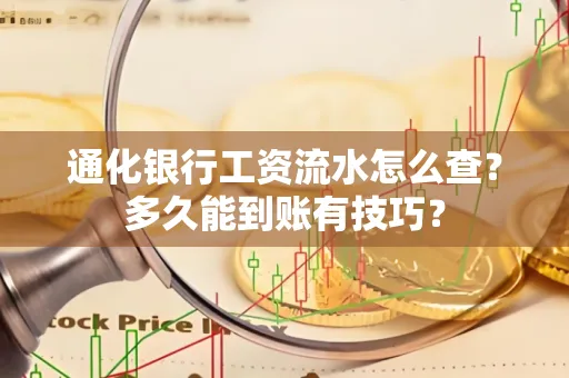 通化银行工资流水怎么查?多久能到账有技巧?