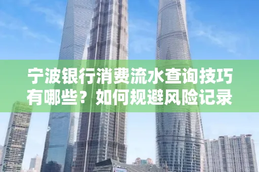 宁波银行消费流水查询技巧有哪些？如何规避风险记录？