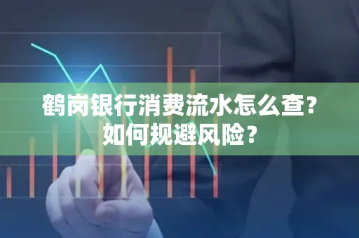 鹤岗银行消费流水怎么查?如何规避风险?
