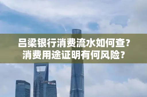 吕梁银行消费流水如何查?消费用途证明有何风险?