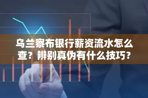 乌兰察布银行薪资流水怎么查?辨别真伪有什么技巧?