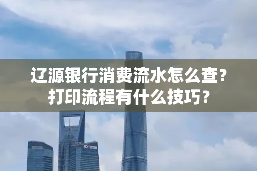 辽源银行消费流水怎么查？打印流程有什么技巧？