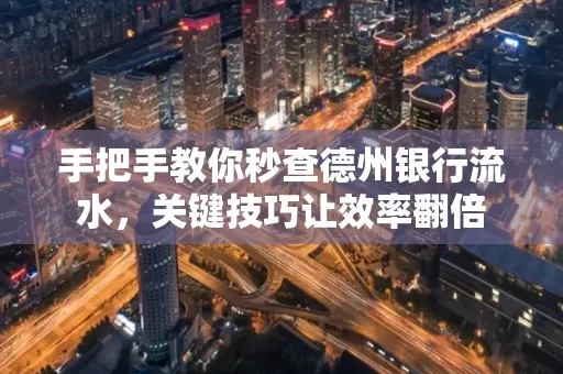 手把手教你秒查德州银行流水,关键技巧让效率翻倍