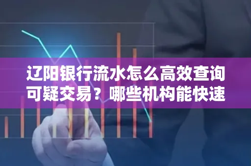 辽阳银行流水怎么高效查询可疑交易?哪些机构能快速分析账单风险?