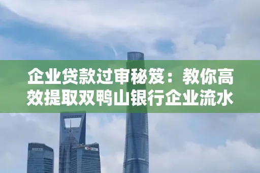 企业贷款过审秘笈:教你高效提取双鸭山银行企业流水