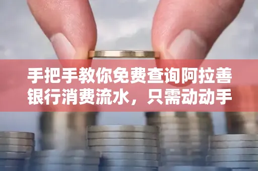 手把手教你免费查询阿拉善银行消费流水,只需动动手指就能完成