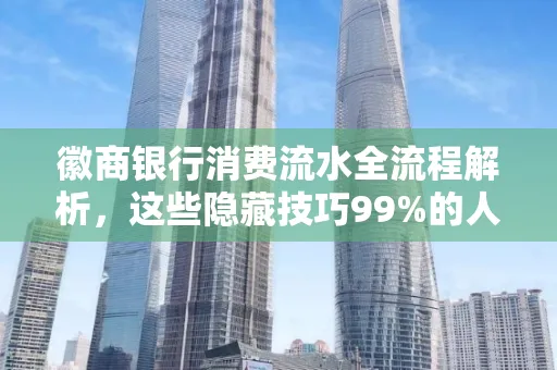 徽商银行消费流水全流程解析,这些隐藏技巧99%的人不知道