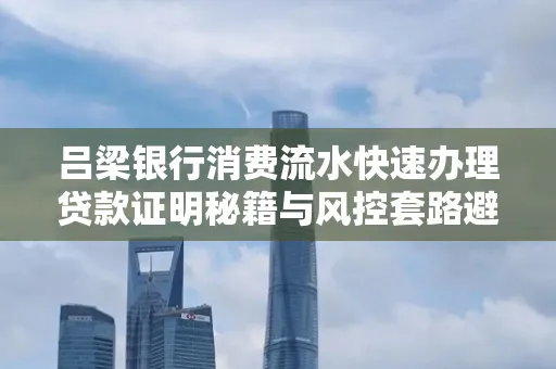 吕梁银行消费流水快速办理贷款证明秘籍与风控套路避坑指南