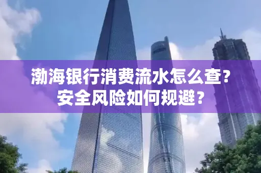 渤海银行消费流水怎么查?安全风险如何规避?