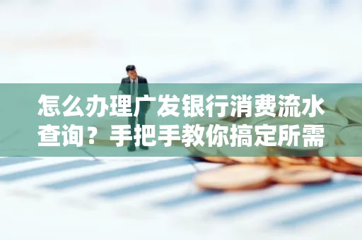 怎么办理广发银行消费流水查询?手把手教你搞定所需材料和流程