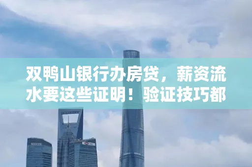 双鸭山银行办房贷,薪资流水要这些证明!验证技巧都在这里!
