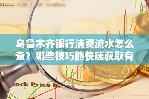 乌鲁木齐银行消费流水怎么查?哪些技巧能快速获取有效信息?