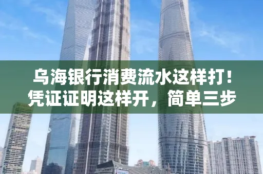 乌海银行消费流水这样打!凭证证明这样开,简单三步轻松搞定