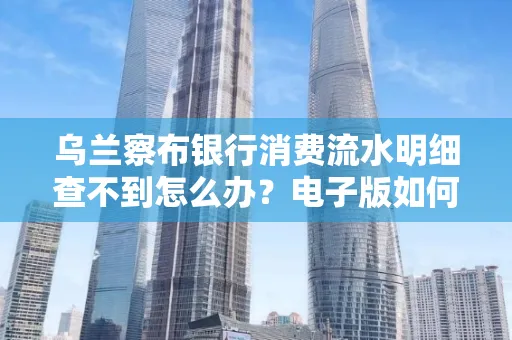 乌兰察布银行消费流水明细查不到怎么办?电子版如何获取攻克技巧?