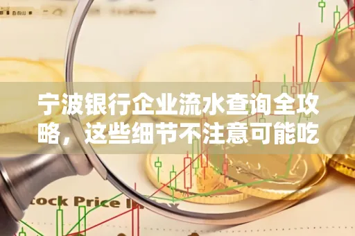 宁波银行企业流水查询全攻略,这些细节不注意可能吃大亏