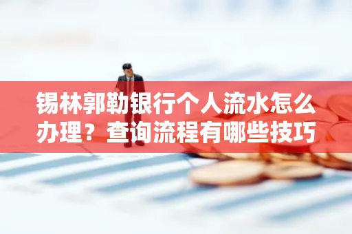 锡林郭勒银行个人流水怎么办理?查询流程有哪些技巧?