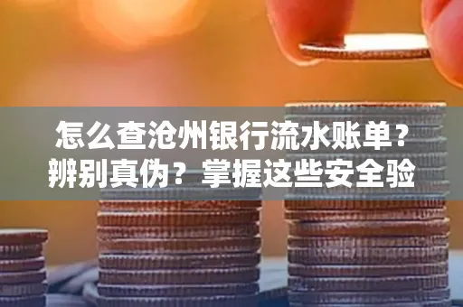 怎么查沧州银行流水账单?辨别真伪?掌握这些安全验证方法