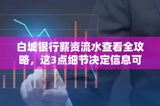 白城银行薪资流水查看全攻略，这3点细节决定信息可靠性