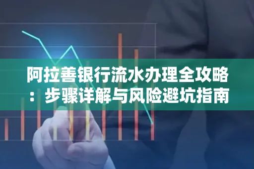 阿拉善银行流水办理全攻略：步骤详解与风险避坑指南