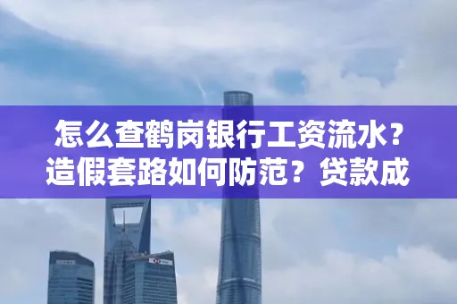 怎么查鹤岗银行工资流水?造假套路如何防范?贷款成功率翻倍攻略