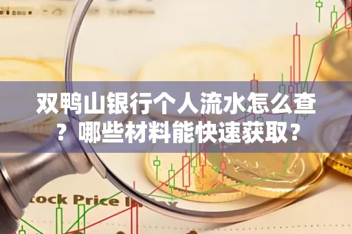 双鸭山银行个人流水怎么查?哪些材料能快速获取?