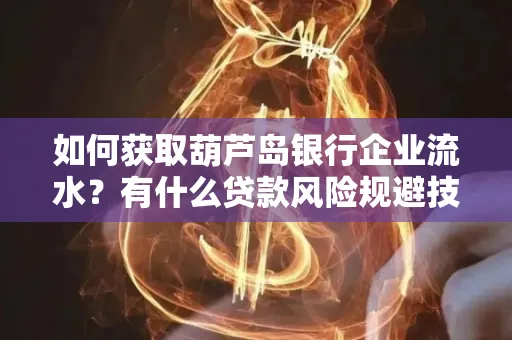 如何获取葫芦岛银行企业流水?有什么贷款风险规避技巧?