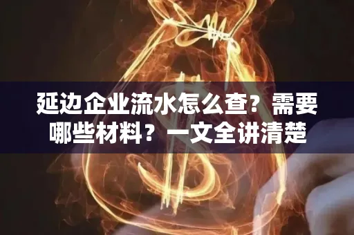 延边企业流水怎么查？需要哪些材料？一文全讲清楚