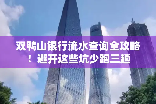 双鸭山银行流水查询全攻略!避开这些坑少跑三趟