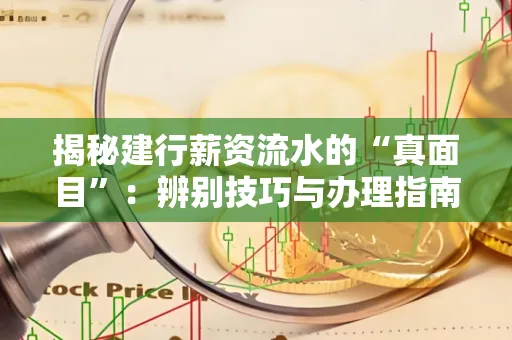 揭秘建行薪资流水的“真面目”:辨别技巧与办理指南大公开