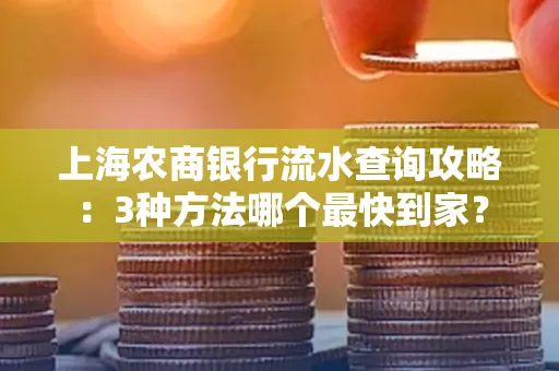 上海农商银行流水查询攻略:3种方法哪个最快到家?