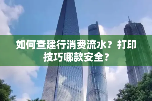 如何查建行消费流水?打印技巧哪款安全?
